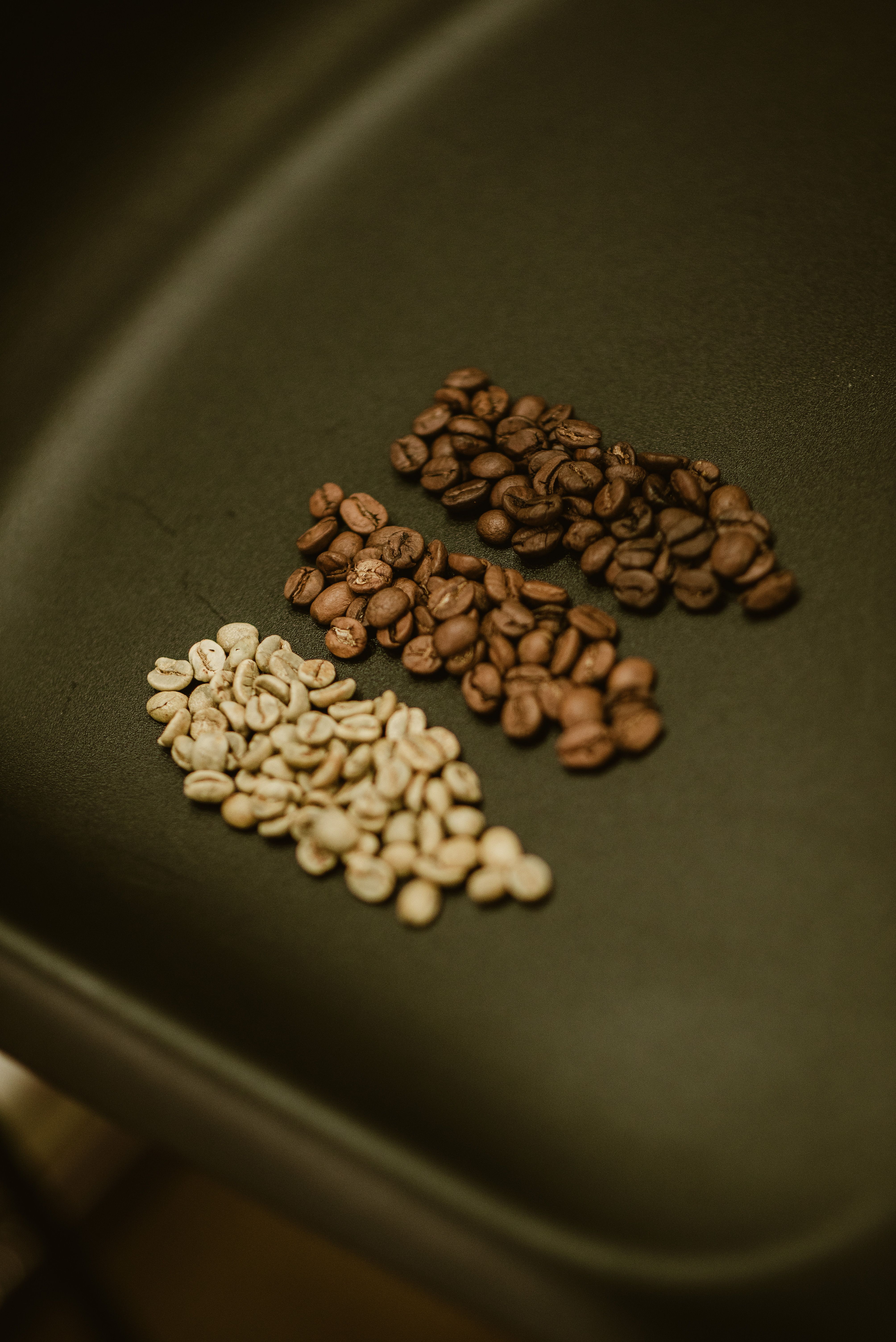Arabica vs. Robusta: Der ehrliche Vergleich
